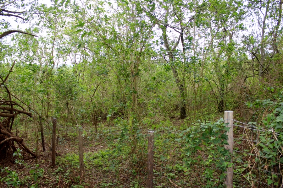 4 Bedroom Property for Sale in Bathurst Eastern Cape